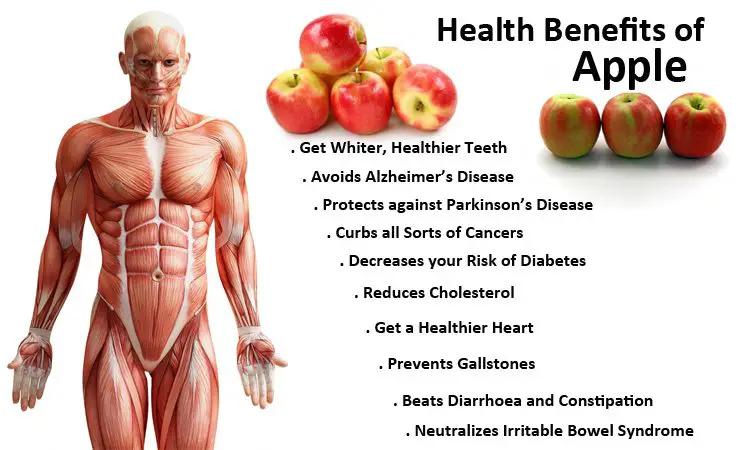 15 Beneficios para la salud de la Manzana