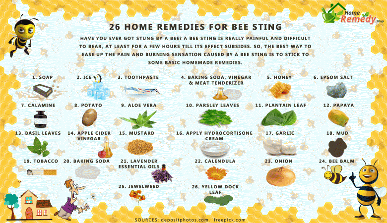 26 Remedios caseros para la picadura de abeja