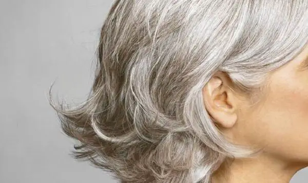 29 Probado Remedios caseros para el pelo gris