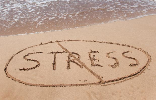 8 Busters estrés para echar a la tensión en ningún momento