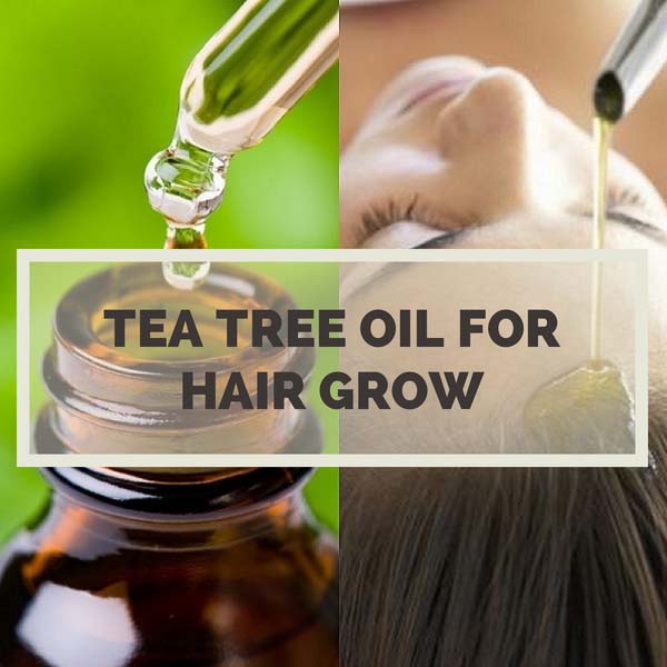 Aceite de árbol de té para crecer el pelo