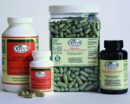 Cuánto de hoja de oliva Extracto qué usted necesita tomar para curar el herpes y por cuánto tiempo