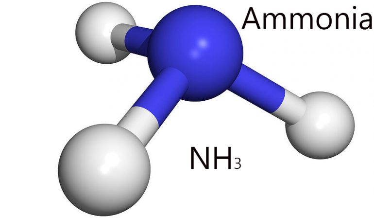 Niveles normales de amoníaco