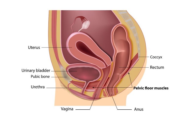 Presión en el área vaginal
