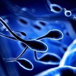 Motilidad normal del esperma