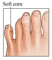 Maíz suave entre los dedos del pie