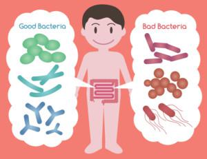 posibles efectos secundarios de los probióticos